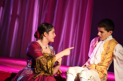 Les Fausses Confidences