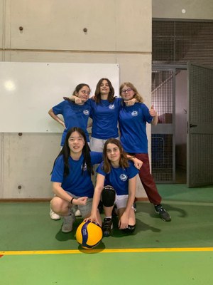 Equipe Minimes Filles Volley ball Championnat Académique de Paris