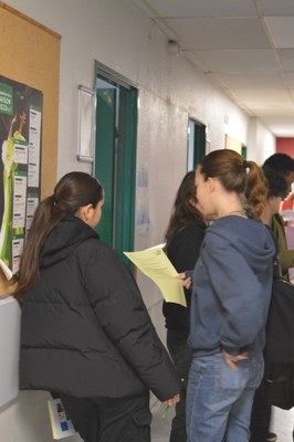 Forum des métiers (29)