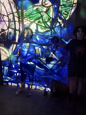 Atelier des lumières (8)